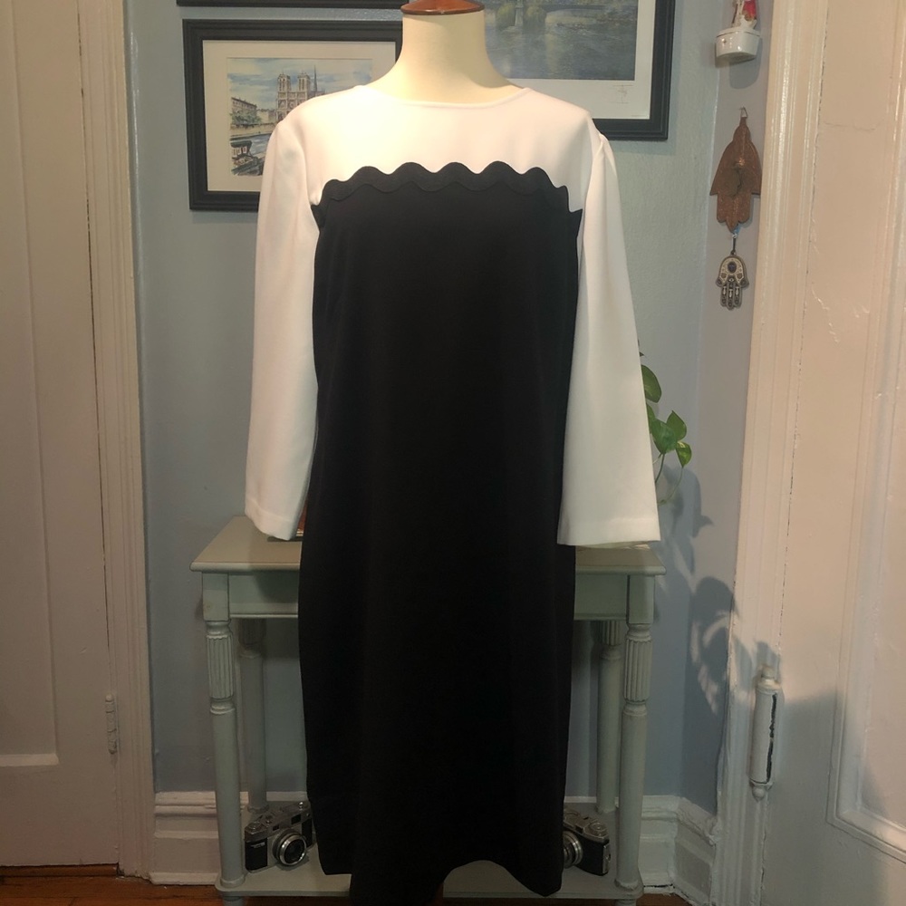 NWT Ann Taylor Sheath Dress